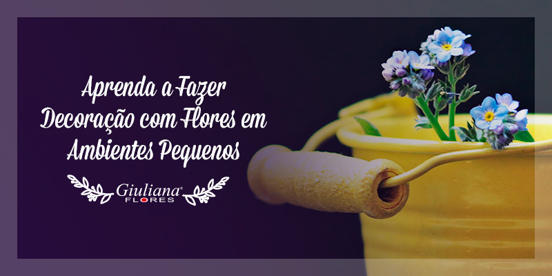 Aprenda a Fazer Decoração de Ambientes Pequenos com Flores
